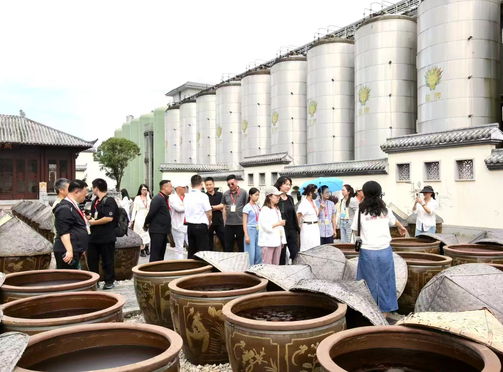 龙牌食品