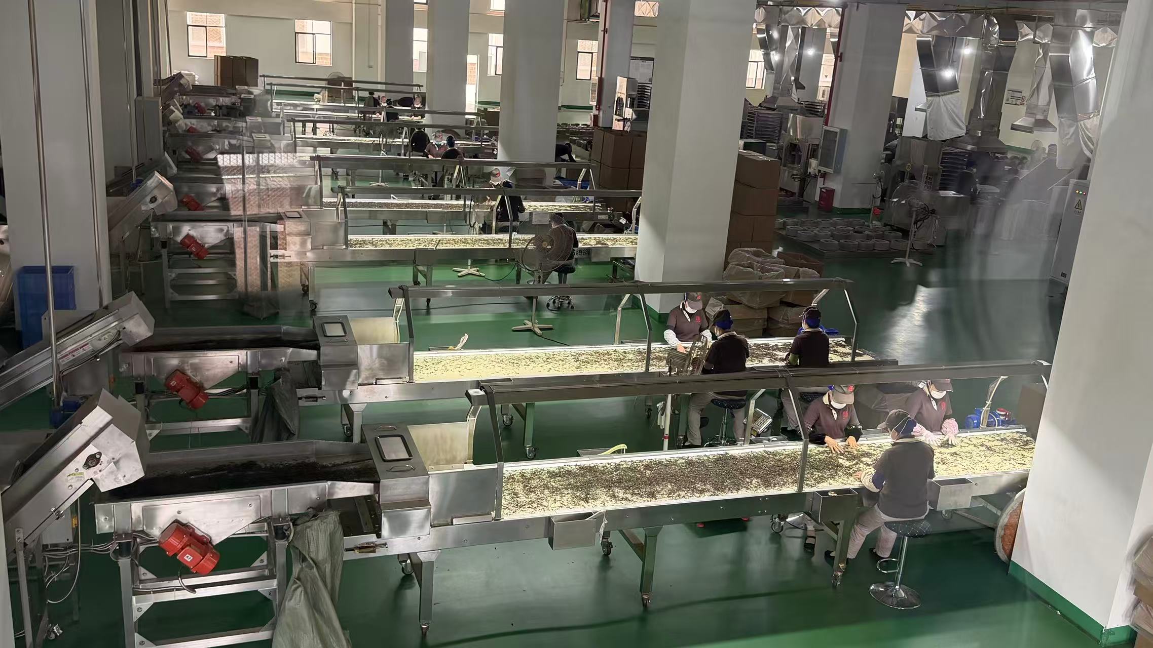 现代化制茶车间